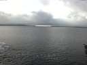 ./images/koeye/fitz-hugh/20160122/fitz-hugh20160122_121502.jpg