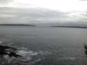 ./images/koeye/fitz-hugh/20160123/fitz-hugh20160123_082706.jpg