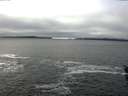./images/koeye/fitz-hugh/20160123/fitz-hugh20160123_115706.jpg