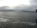 ./images/koeye/fitz-hugh/20160123/fitz-hugh20160123_121206.jpg