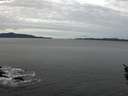 ./images/koeye/fitz-hugh/20160124/fitz-hugh20160124_102706.jpg