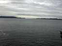 ./images/koeye/fitz-hugh/20160124/fitz-hugh20160124_115707.jpg