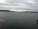./images/koeye/fitz-hugh/20160124/fitz-hugh20160124_121206.jpg