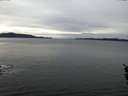 ./images/koeye/fitz-hugh/20160124/fitz-hugh20160124_135702.jpg