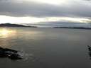 ./images/koeye/fitz-hugh/20160124/fitz-hugh20160124_155704.jpg