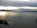 ./images/koeye/fitz-hugh/20160124/fitz-hugh20160124_160002.jpg
