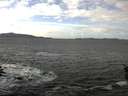 ./images/koeye/fitz-hugh/20160126/fitz-hugh20160126_121205.jpg