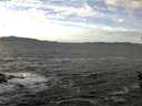 ./images/koeye/fitz-hugh/20160126/fitz-hugh20160126_121802.jpg