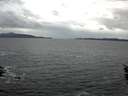 ./images/koeye/fitz-hugh/20160126/fitz-hugh20160126_160002.jpg