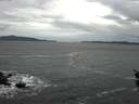 ./images/koeye/fitz-hugh/20160126/fitz-hugh20160126_162703.jpg