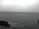 ./images/koeye/fitz-hugh/20160127/fitz-hugh20160127_085704.jpg