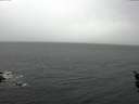 ./images/koeye/fitz-hugh/20160127/fitz-hugh20160127_125702.jpg