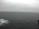 ./images/koeye/fitz-hugh/20160127/fitz-hugh20160127_135703.jpg