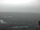 ./images/koeye/fitz-hugh/20160127/fitz-hugh20160127_142702.jpg