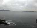 ./images/koeye/fitz-hugh/20160129/fitz-hugh20160129_082705.jpg
