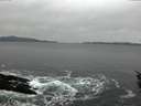 ./images/koeye/fitz-hugh/20160129/fitz-hugh20160129_092706.jpg