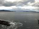 ./images/koeye/fitz-hugh/20160129/fitz-hugh20160129_112706.jpg