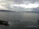 ./images/koeye/fitz-hugh/20160129/fitz-hugh20160129_121207.jpg