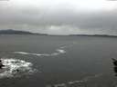 ./images/koeye/fitz-hugh/20160129/fitz-hugh20160129_172703.jpg