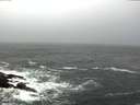 ./images/koeye/fitz-hugh/20160130/fitz-hugh20160130_085705.jpg