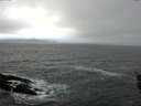 ./images/koeye/fitz-hugh/20160130/fitz-hugh20160130_102706.jpg