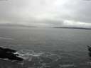 ./images/koeye/fitz-hugh/20160130/fitz-hugh20160130_122102.jpg