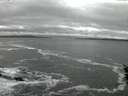 ./images/koeye/fitz-hugh/20160130/fitz-hugh20160130_175704.jpg