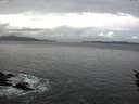 ./images/koeye/fitz-hugh/20160131/fitz-hugh20160131_075706.jpg