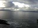 ./images/koeye/fitz-hugh/20160131/fitz-hugh20160131_132703.jpg
