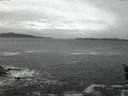 ./images/koeye/fitz-hugh/20160202/fitz-hugh20160202_072706.jpg