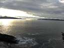 ./images/koeye/fitz-hugh/20160202/fitz-hugh20160202_160002.jpg