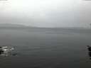 ./images/koeye/fitz-hugh/20160203/fitz-hugh20160203_075707.jpg