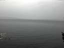 ./images/koeye/fitz-hugh/20160203/fitz-hugh20160203_082706.jpg