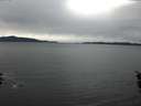 ./images/koeye/fitz-hugh/20160203/fitz-hugh20160203_092706.jpg