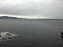 ./images/koeye/fitz-hugh/20160203/fitz-hugh20160203_095706.jpg