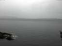 ./images/koeye/fitz-hugh/20160203/fitz-hugh20160203_115707.jpg