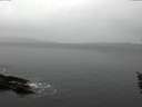 ./images/koeye/fitz-hugh/20160203/fitz-hugh20160203_121207.jpg