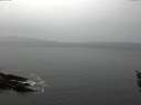 ./images/koeye/fitz-hugh/20160203/fitz-hugh20160203_122402.jpg