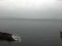 ./images/koeye/fitz-hugh/20160203/fitz-hugh20160203_125703.jpg
