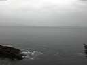 ./images/koeye/fitz-hugh/20160203/fitz-hugh20160203_142702.jpg