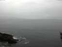 ./images/koeye/fitz-hugh/20160203/fitz-hugh20160203_145703.jpg