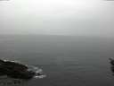 ./images/koeye/fitz-hugh/20160203/fitz-hugh20160203_152703.jpg