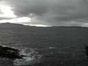 ./images/koeye/fitz-hugh/20160203/fitz-hugh20160203_180002.jpg
