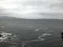 ./images/koeye/fitz-hugh/20160204/fitz-hugh20160204_075706.jpg