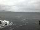 ./images/koeye/fitz-hugh/20160204/fitz-hugh20160204_080002.jpg