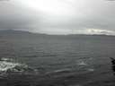 ./images/koeye/fitz-hugh/20160204/fitz-hugh20160204_102706.jpg