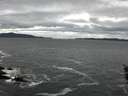 ./images/koeye/fitz-hugh/20160204/fitz-hugh20160204_121803.jpg