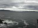 ./images/koeye/fitz-hugh/20160204/fitz-hugh20160204_122103.jpg