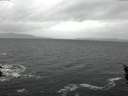 ./images/koeye/fitz-hugh/20160205/fitz-hugh20160205_121206.jpg