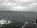 ./images/koeye/fitz-hugh/20160205/fitz-hugh20160205_121503.jpg